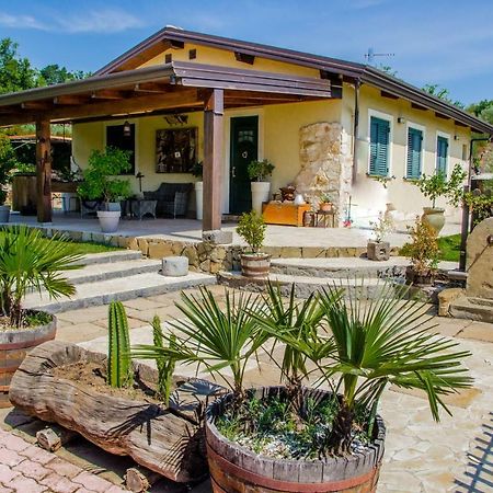פיידימונטה אטנאו B&B Etna Ranch מראה חיצוני תמונה