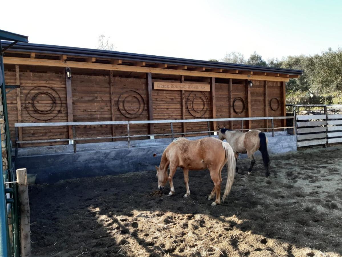 פיידימונטה אטנאו B&B Etna Ranch מראה חיצוני תמונה