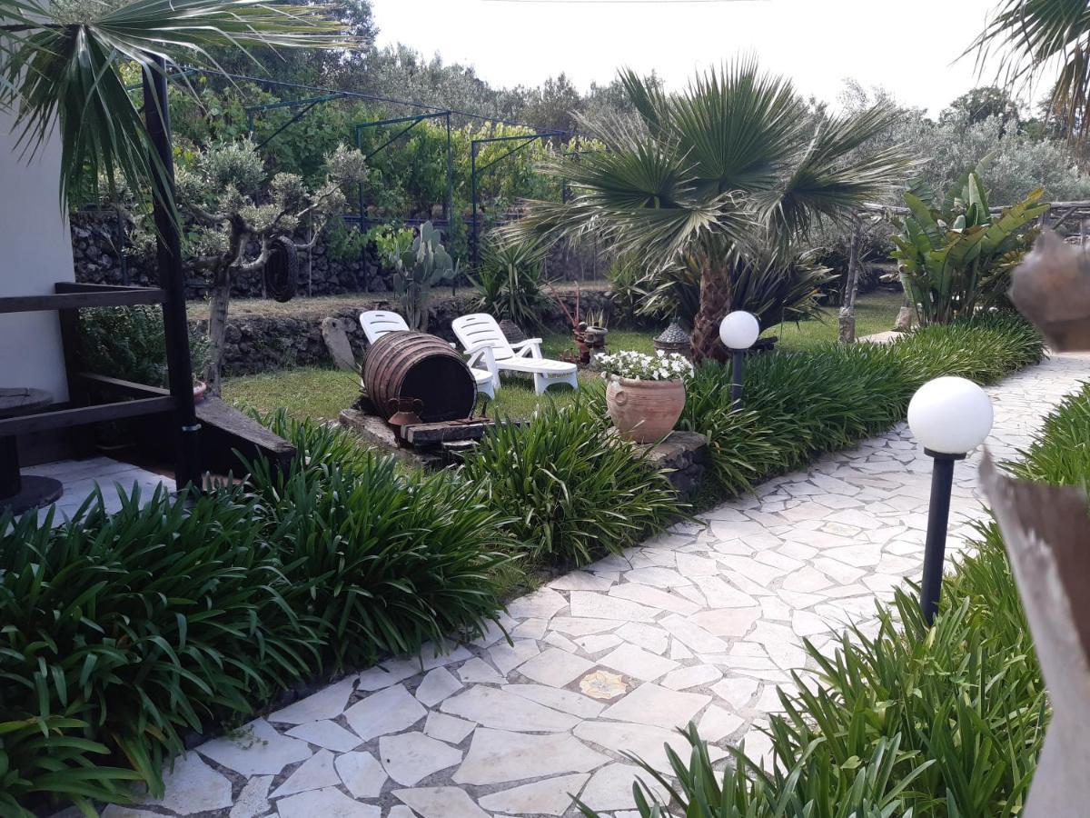 פיידימונטה אטנאו B&B Etna Ranch מראה חיצוני תמונה