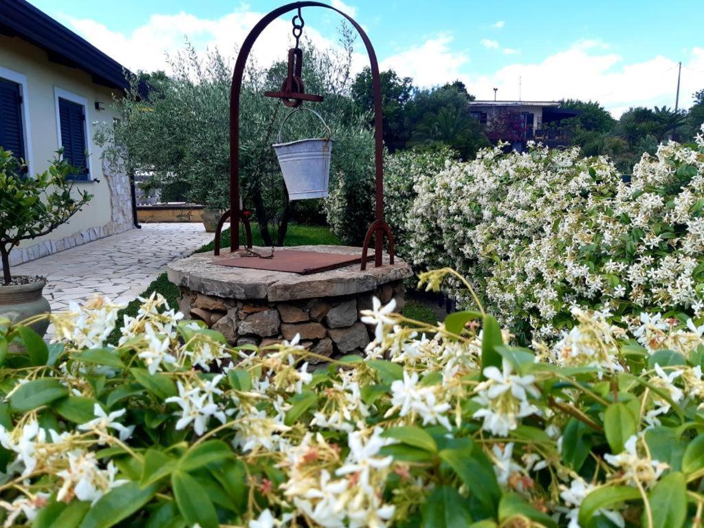 פיידימונטה אטנאו B&B Etna Ranch מראה חיצוני תמונה