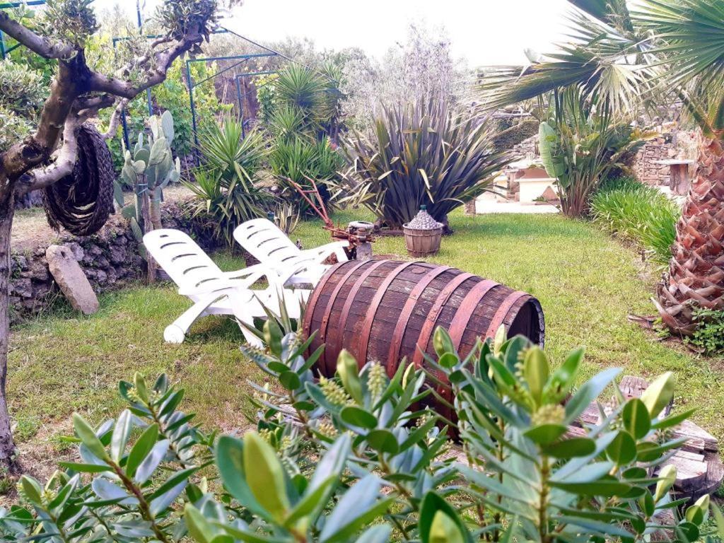פיידימונטה אטנאו B&B Etna Ranch מראה חיצוני תמונה