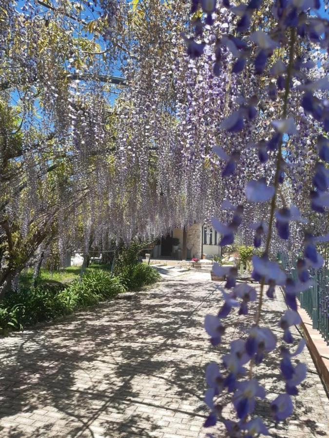 פיידימונטה אטנאו B&B Etna Ranch מראה חיצוני תמונה