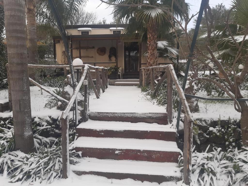 פיידימונטה אטנאו B&B Etna Ranch מראה חיצוני תמונה
