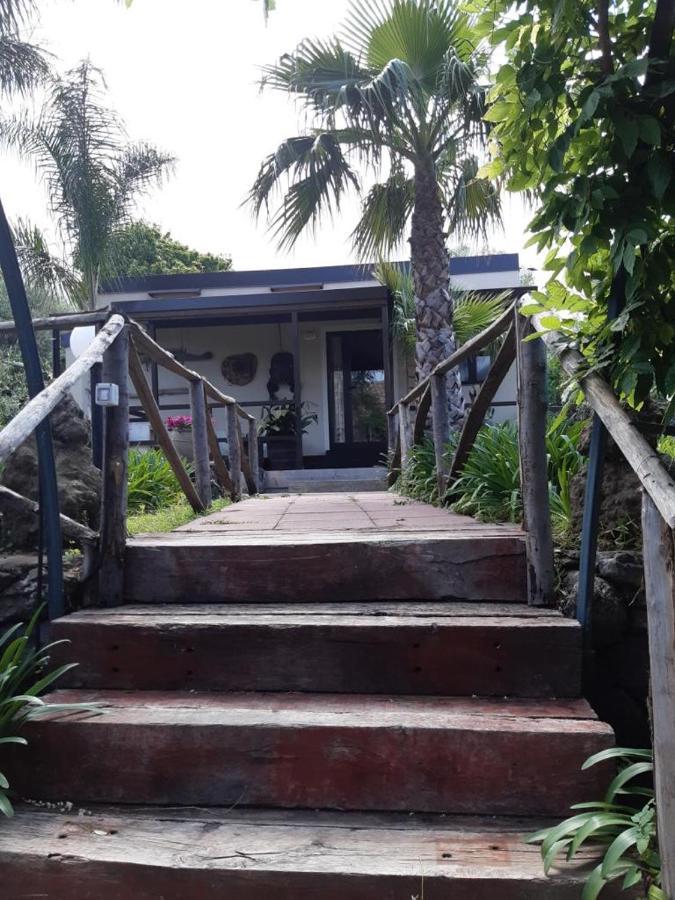פיידימונטה אטנאו B&B Etna Ranch מראה חיצוני תמונה