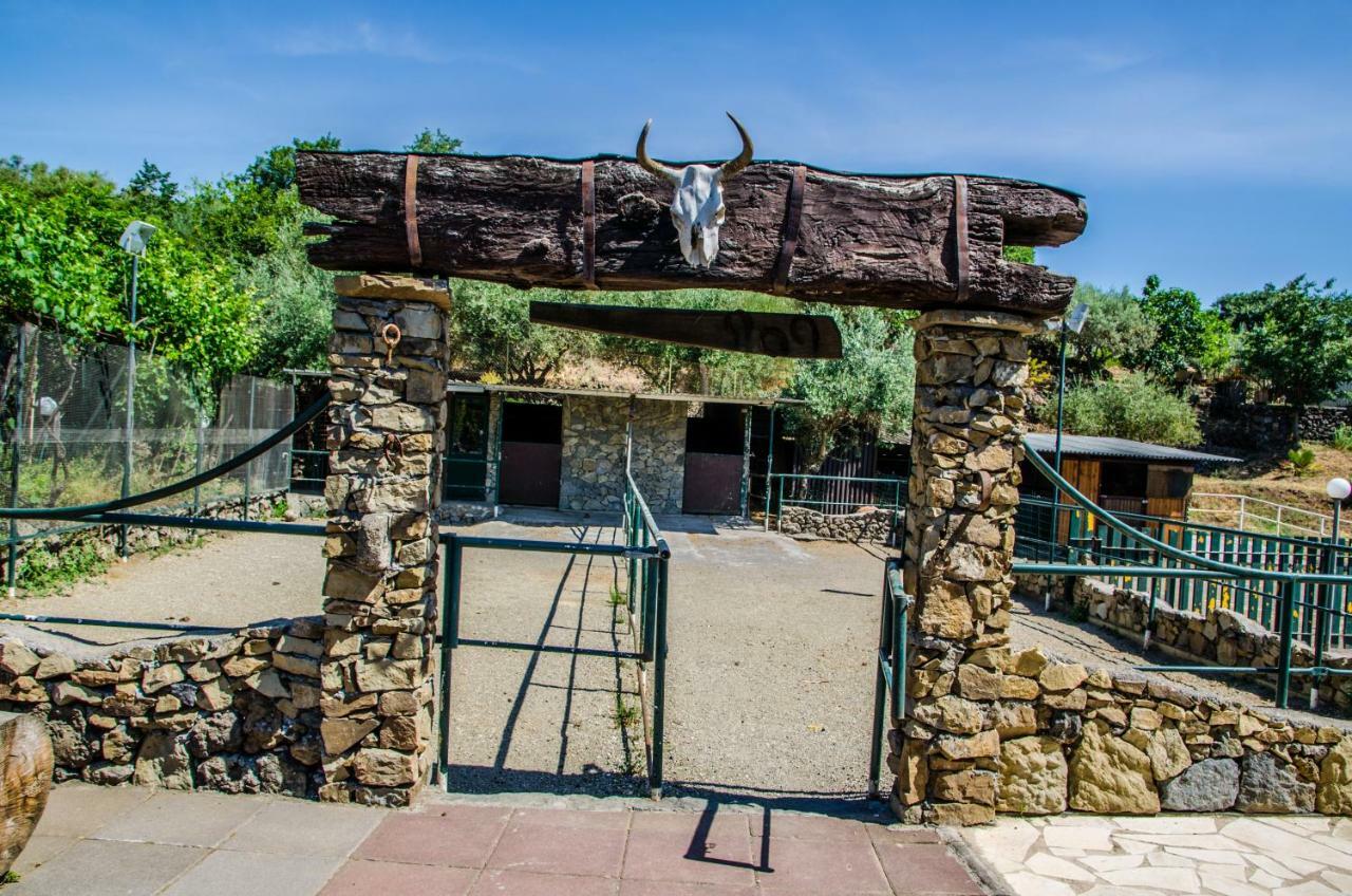 פיידימונטה אטנאו B&B Etna Ranch מראה חיצוני תמונה