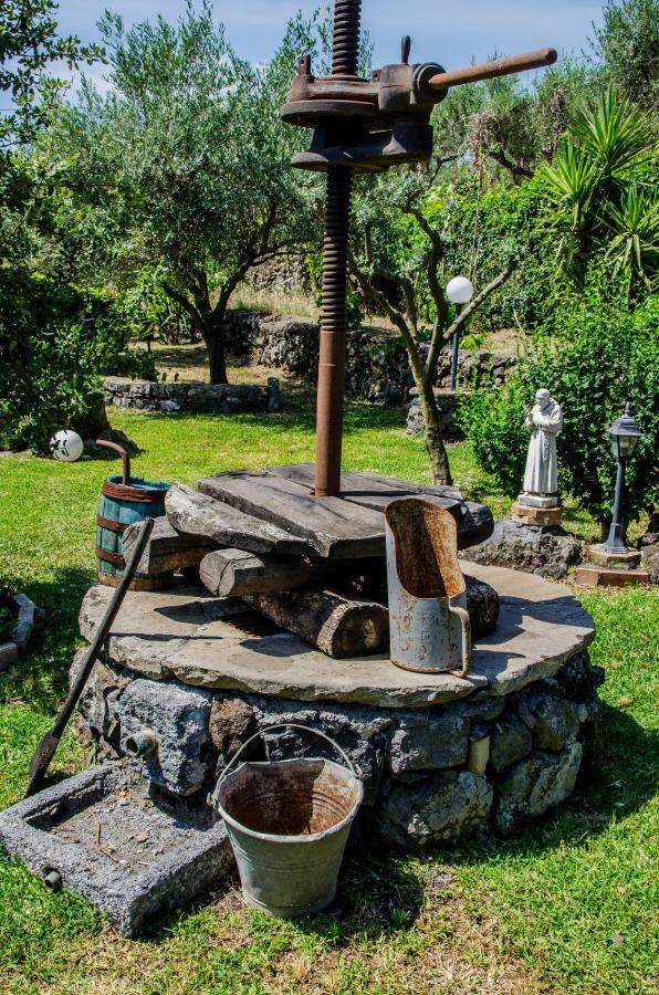 פיידימונטה אטנאו B&B Etna Ranch מראה חיצוני תמונה