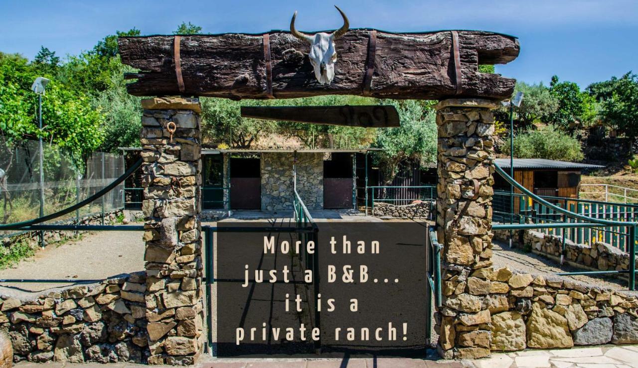 פיידימונטה אטנאו B&B Etna Ranch מראה חיצוני תמונה
